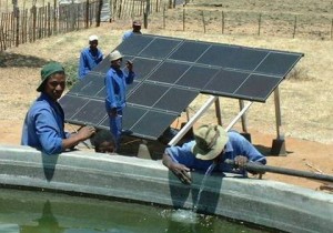 solar water pumps supplier